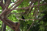 DSC_9053.JPG